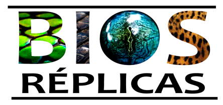 LOGO BIOS2 (1)